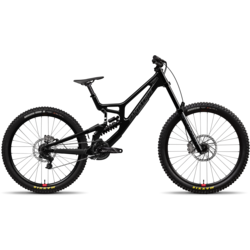 Santa Cruz V10 DH S